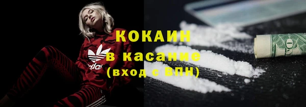 шишки Абинск