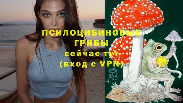 прущая мука Абаза