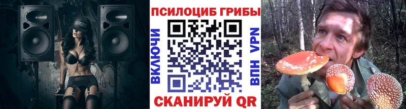 Галлюциногенные грибы Psilocybine cubensis  Тихорецк 